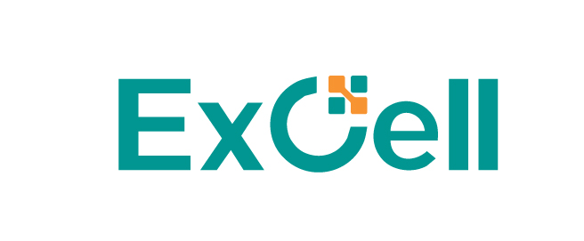 excell