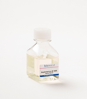 [L0950] Accutase - 100ml