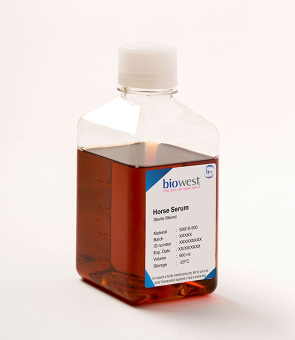 [S0910] Horse Serum -500ml