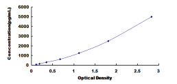 [SEA959Ra] ELISA Kit for L1-Cell Adhesion Molecule (L1CAM)