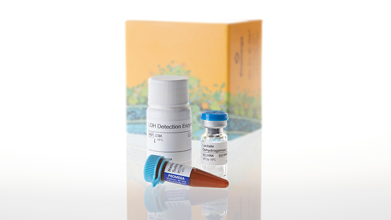 LDH-Glo™ Cytotoxicity Assay, 10ml