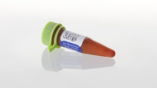 CellTox™ Green Cytotoxicity Assay, 10ml