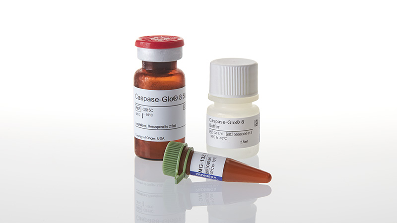 Caspase-Glo® 8 Assay, 2.5ml