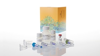 ReliaPrep™ FFPE Total RNA Miniprep System, 100 reactions