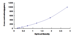 [SEC906Mu] ELISA Kit for Fibroblast Growth Factor 3 (FGF3)