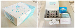 [MEC913Mu] Mini Samples ELISA Kit for Fibroblast Growth Factor 11 (FGF11)