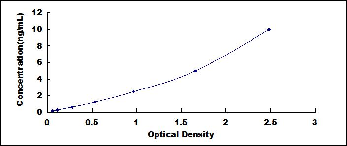 [SEA771Mu] ELISA Kit for Chemokine C-X-C-Motif Ligand 16 (CXCL16)