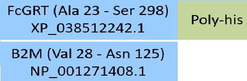 [FCM-C52W8] FcRn (FCGRT & B2M)