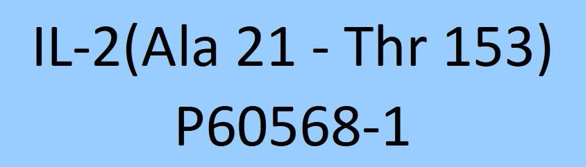 [IL2-H4113] IL-2