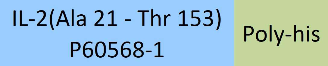 [IL2-H52H8] IL-2