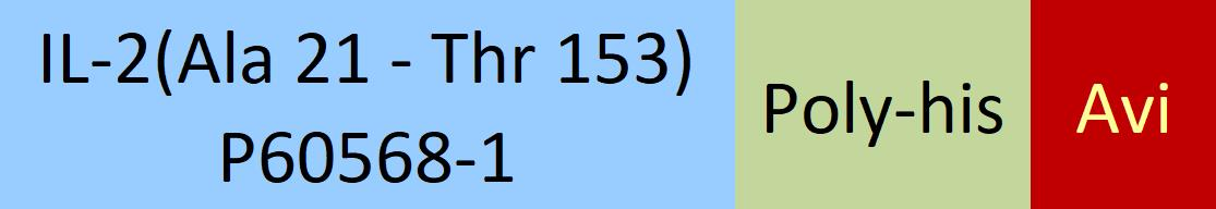 [IL2-H82E4] IL-2