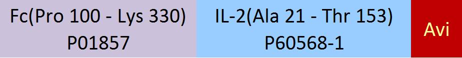 [IL2-H82F3] IL-2