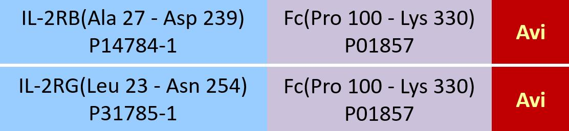 [ILG-H82F3] IL-2 R beta&IL-2 R gamma
