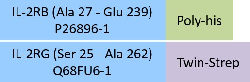 [ILG-R5283]  IL-2 R beta&IL-2 R gamma