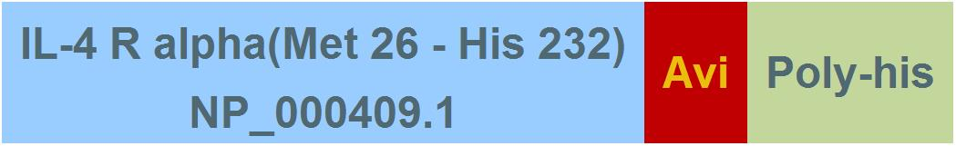 [ILR-H82E9] IL-4 R alpha