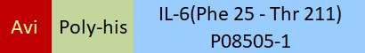 [IL6-M82Q7] IL-6