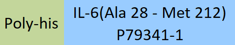 [IL6-C5249] IL-6