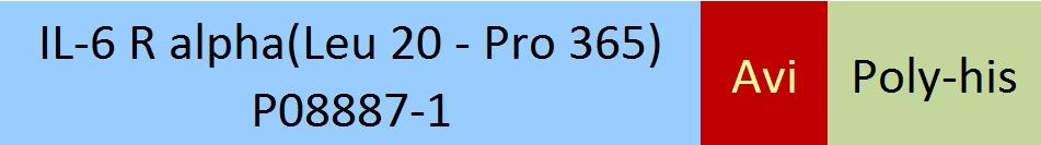 [CD6-H82E8] IL-6 R alpha