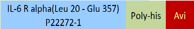[ILR-M82E9] IL-6 R alpha