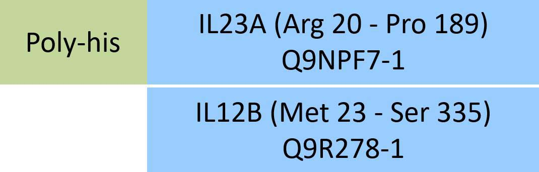 [ILB-HR52W3] IL23A & IL12B