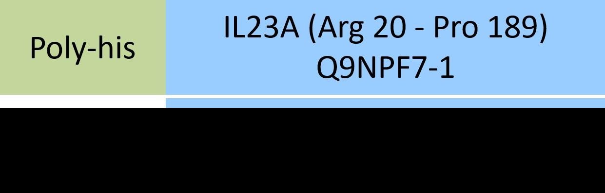 [ILB-HM52W6] IL23A & IL12B