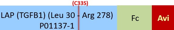 [LAP-H82F8] LAP (TGF-beta 1)