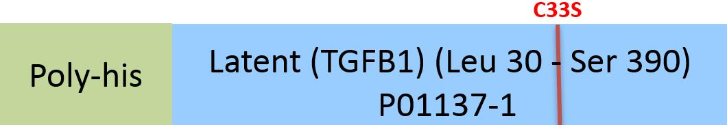 [TG1-H524x] Latent TGF-beta 1