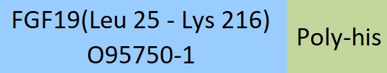 [FG9-H51H3] FGF19