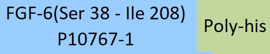 [FG6-H52H3]  FGF-6