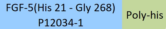 [FG5-H52H3] FGF-5