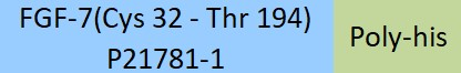 [FG7-H51H5] FGF-7