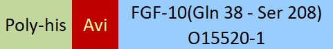 [FG0-H81Q7]  FGF-10
