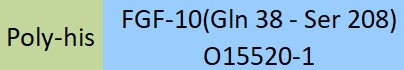 [FG0-H5145] FGF-10
