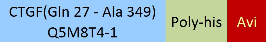 [CTF-H82E6] CTGF