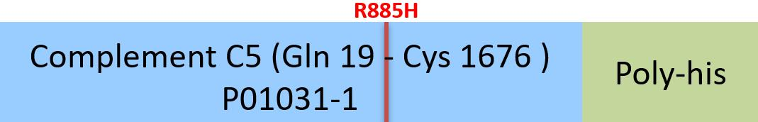 [CO5-H52Hx] Complement C5