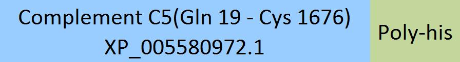 [CO5-C52Hx] Complement C5