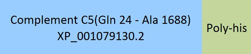 [CO5-R52H5] Complement C5