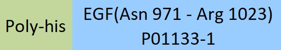 [EGF-H52H3] EGF