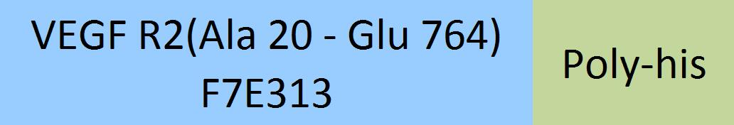 [VE2-C52H3] VEGF R2