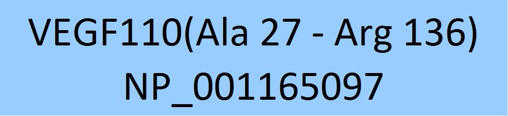 [VE0-H5212]  VEGF110
