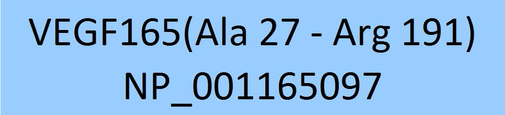 [VE5-H8210] VEGF165
