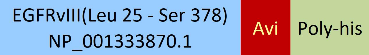 [EGR-H82E0] EGFRvIII