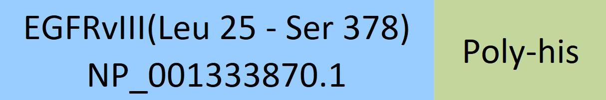 [EGI-H52H4] EGFRvIII