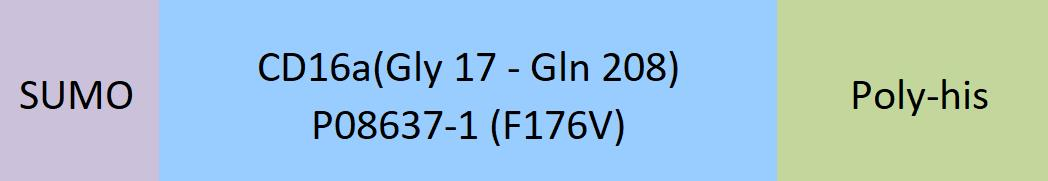 [CDA-H5290] Fc gamma RIIIA / CD16a