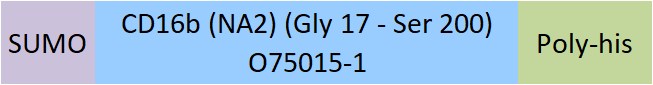 [CDB-H5294] Fc gamma RIIIA / CD16b (NA2)