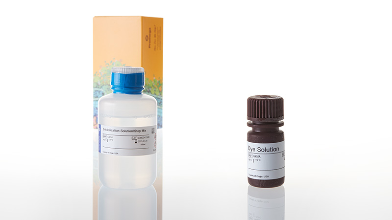 CellTiter 96® Non-Radioactive Cell Proliferation Assay (MTT), 1,000 assays 