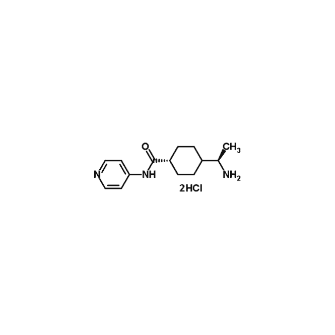 [04-0012] Stemolecule Y27632 (2mg)