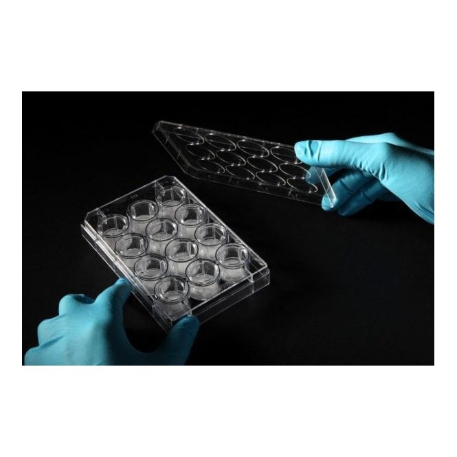 [AVP002-2] Alvetex Scaffold 12 Well Plate (2 plates)