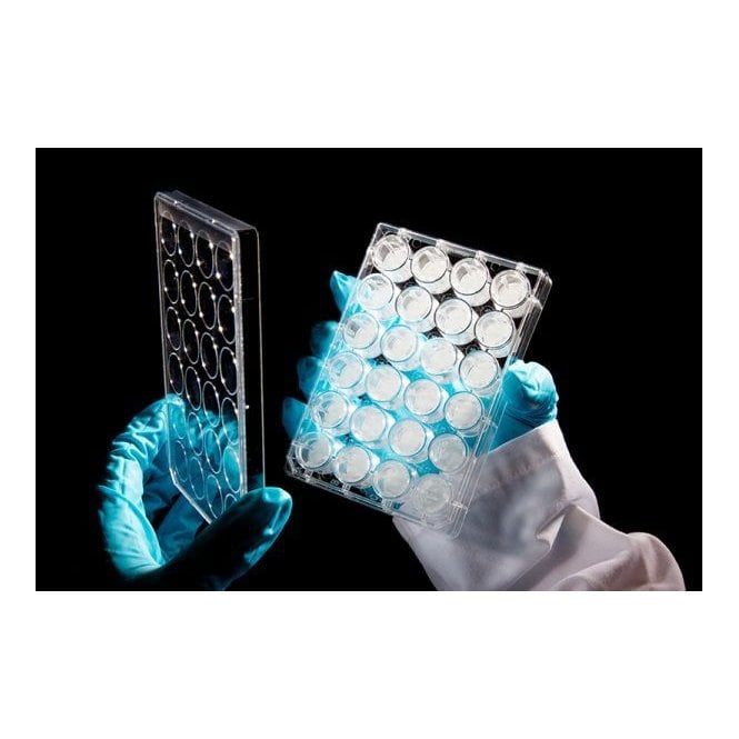 [AVP006-80] Alvetex Scaffold 24 Well Plate (80 plates)