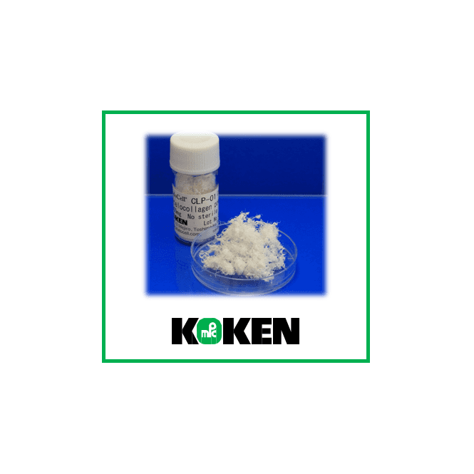 [KKN-CLP-01] Atelocollagen powder (500mg)